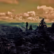 Skelett_Noise