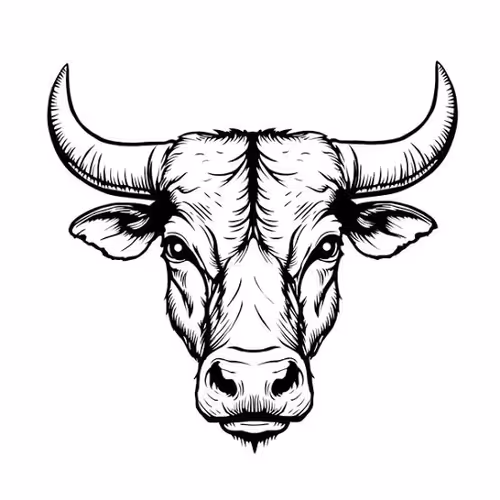Sketch Bull 
