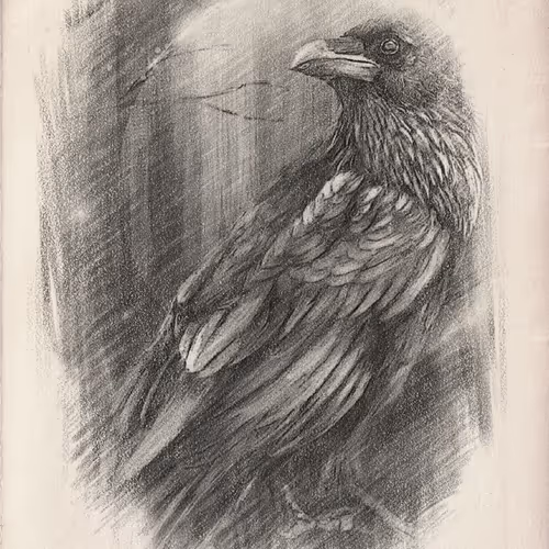 Sketching Pencil