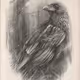 Sketching Pencil