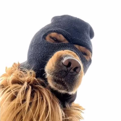 SKI MASK DOG Shell