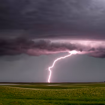 Skpictureguy Collection