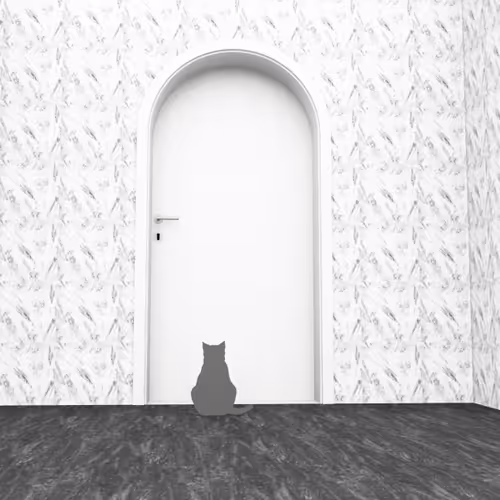 Cat View