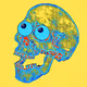 Skull# - old