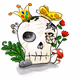 skull :)
