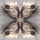 skull and mirrors makes butterfly