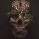 Skull Art Collection - old