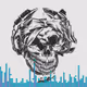 Skull Art by Dev