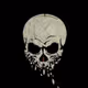 Skull_Iland