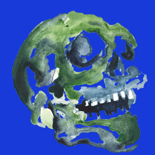 Skull-of-the-day - old V2