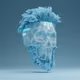 Skull Sea