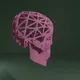 Skull 5.5 V3 - old