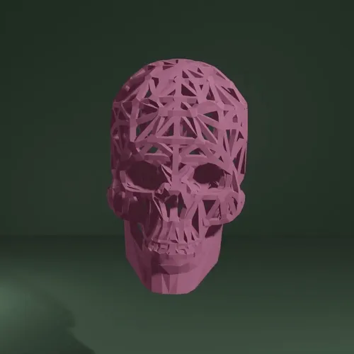 Skull 5.5 V3 - old