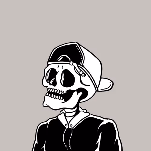 skulladdict Collection - old