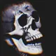 SkullBase.1