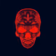 Skull Bdy - old