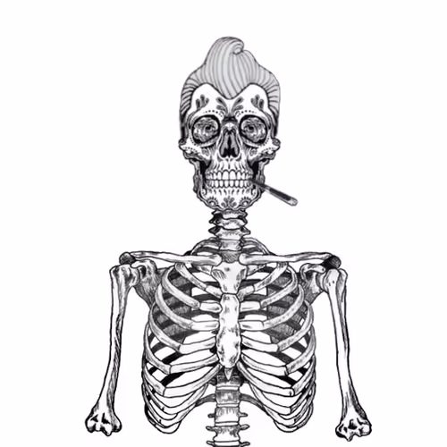 NFT Ultra rare Black & Multicolor Skull Bone edition Collection