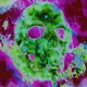 SkullCrypt SHF