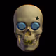 Skulled Celebrity Club