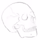 CryptoSkullJam