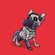 SkullPet