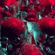 Skulls Arbitrum