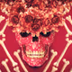 Skulls of madness - old