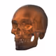 3D Skulls of the Dead