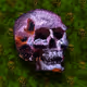 Skulls & Posies