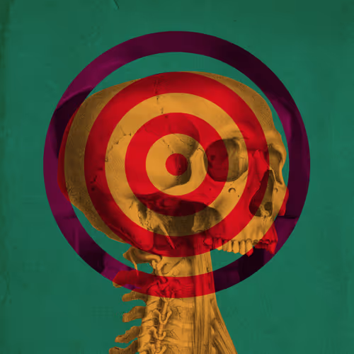 Skull Targets by Garvin Sierra Vega - old