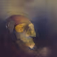 Skullz0x - old
