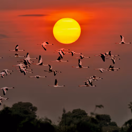 Stories of Sun & Moon - old