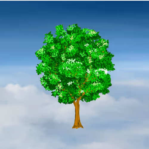 SKY_Tree911 - D8ujgg2XNe
