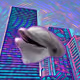 SL0TU5KY
