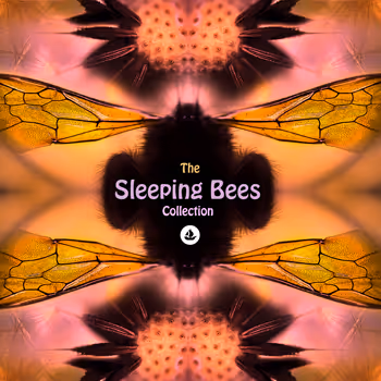 THE SLEEPING BEES - old