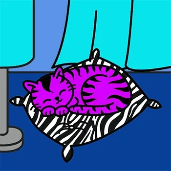 Sleeping Cats Team