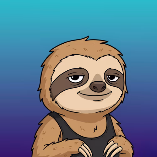 Sloth Couture Koala