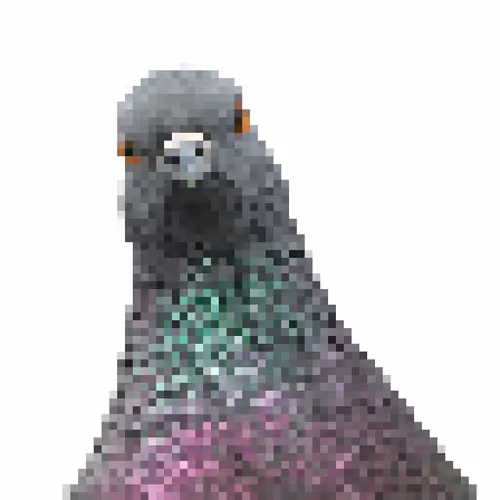 SLUM PIGEON DEGENERATES - old