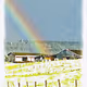 colorfull rainbows - old