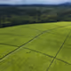 smallplanet