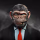 Smart Beast - NFT