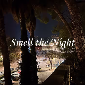 Smell the Night