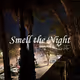 Smell the Night