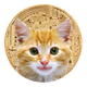 Smiley Cat Coin (SCC)