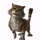 Smiling Cats in Space.