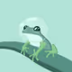 smol frog