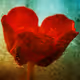 Snippets of memory