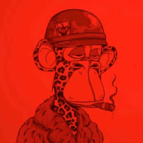 High_Doggy_Collection