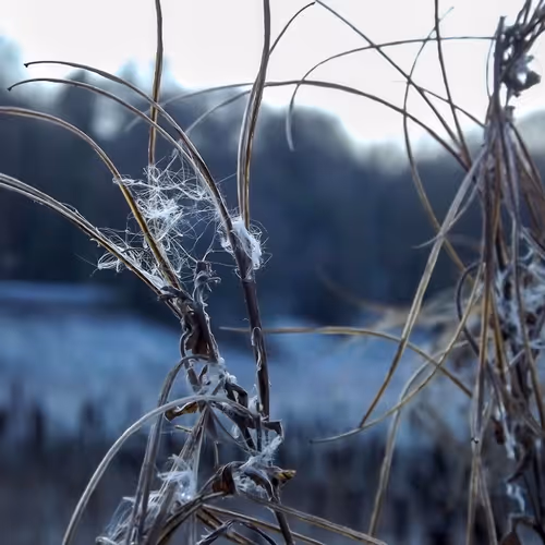 SNOW CAN WAIT, I FORGOT MY MITTENS - old