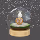 Snow Globes_